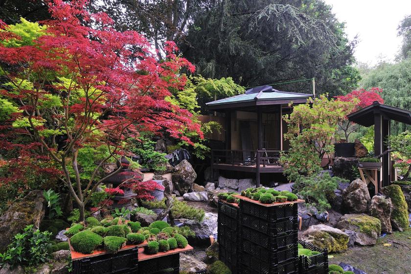 DSC_5574.jpg