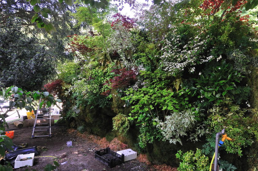 DSC_6926.jpg