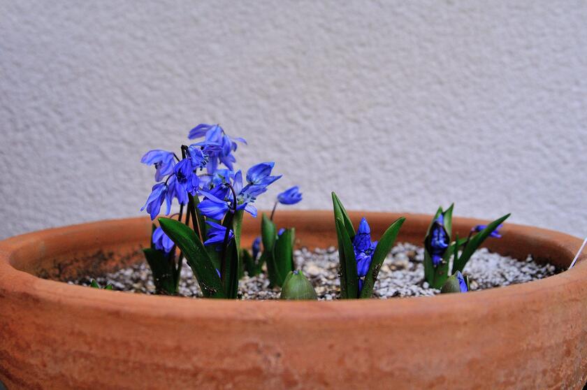 DSC_9099.jpg