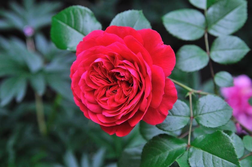 DSC_3298.jpg