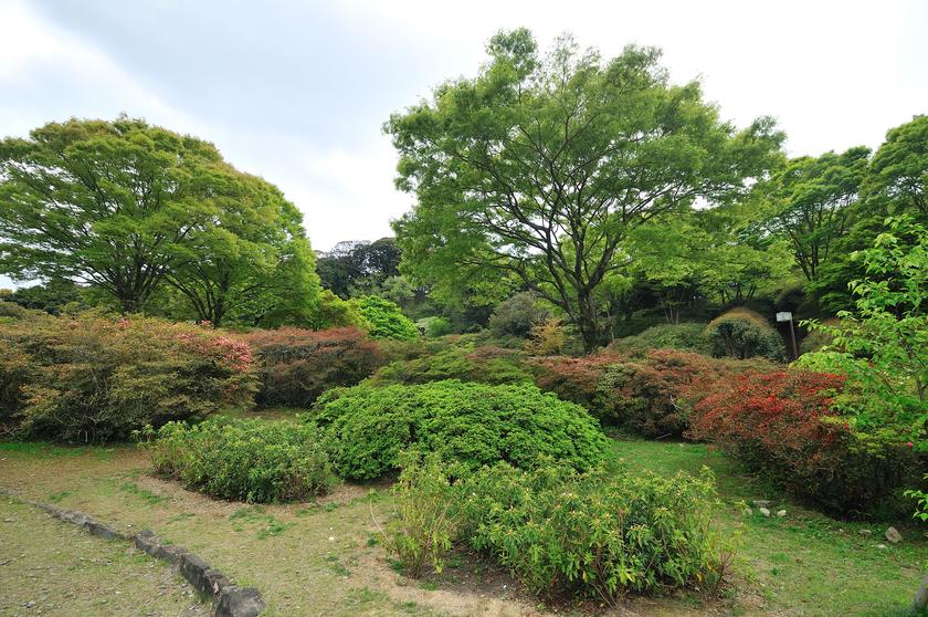 DSC_1514.jpg