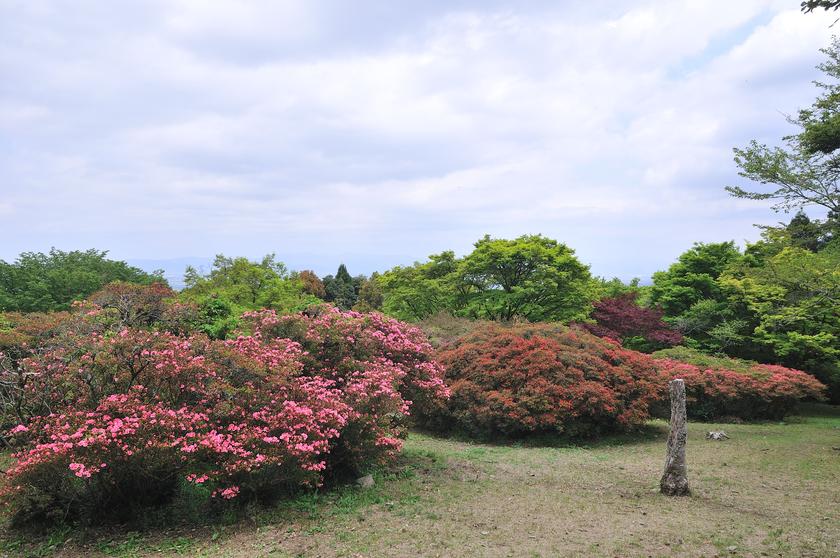 DSC_1522.jpg
