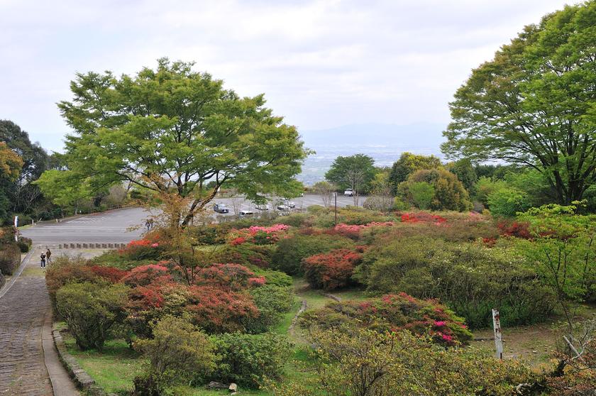 DSC_1525.jpg