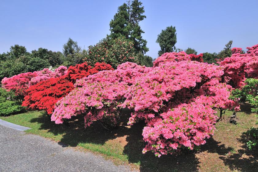 DSC_2048.jpg