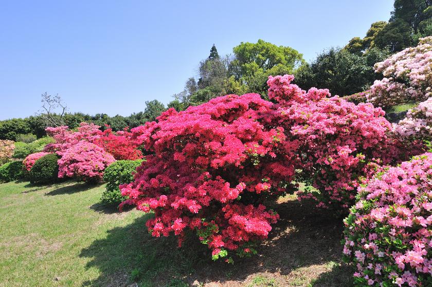 DSC_2053.jpg