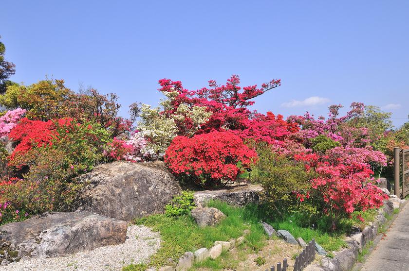 DSC_1953.jpg