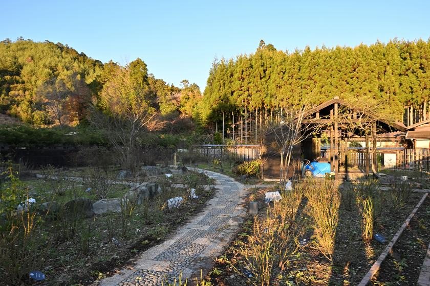 DSC_2839.jpg