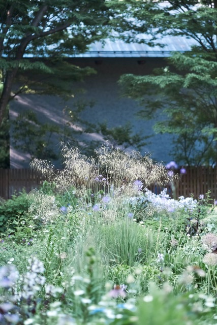 DSCF6442.jpg