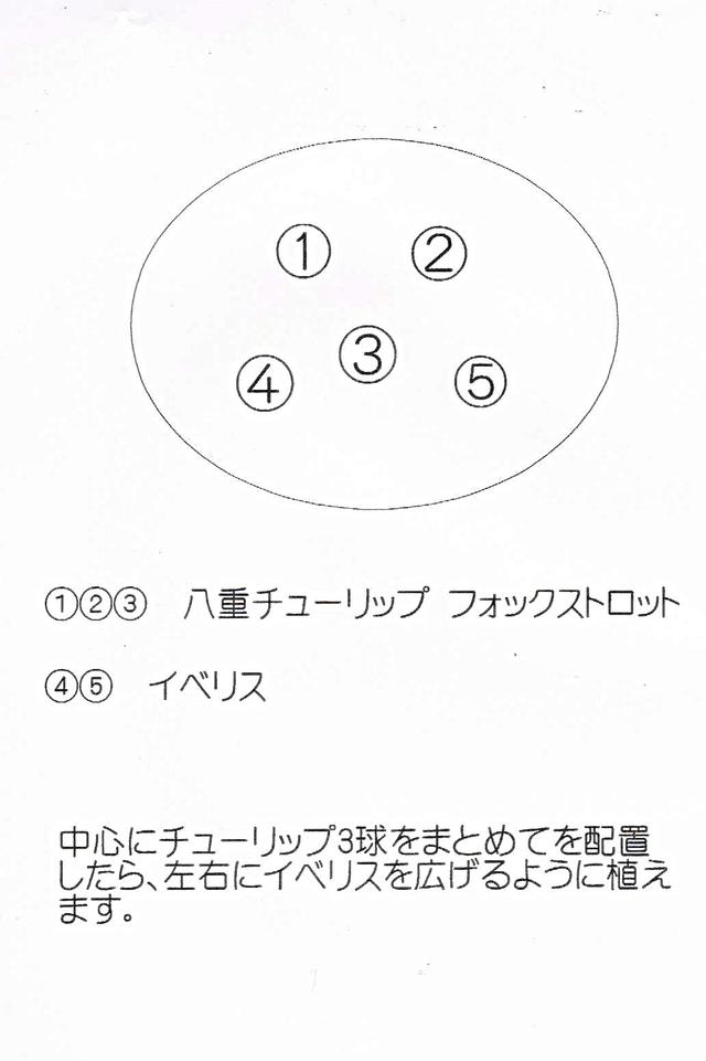 イメージ (14).jpg