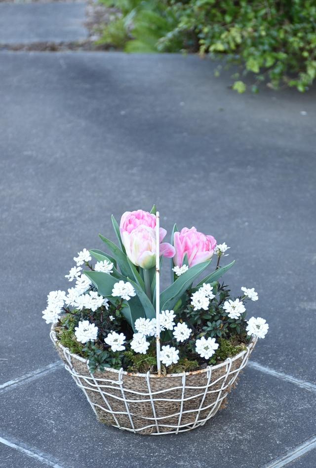 DSC_9176.JPG
