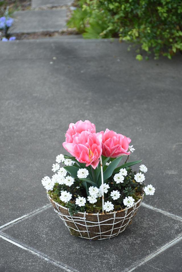 DSC_9621.JPG