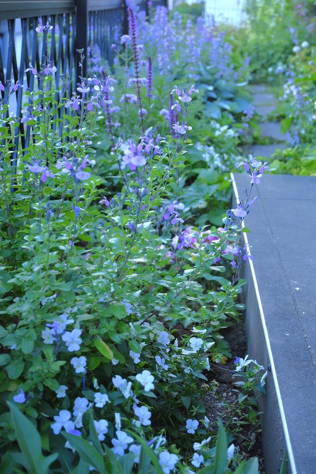 DSC_3952.JPG