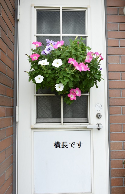 DSC_4367.JPG