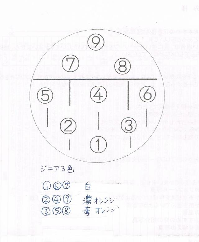 ジニア9ポット.jpeg