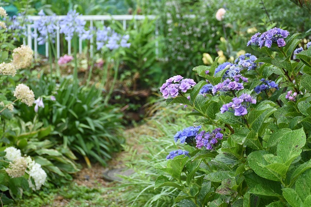 DSC_6044.JPG