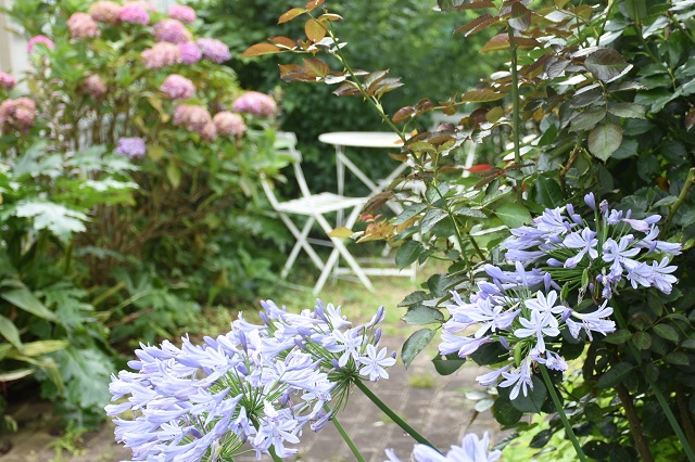 DSC_6669.JPG