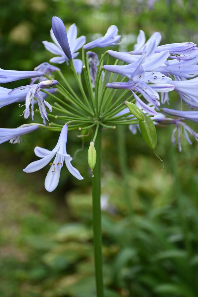 DSC_6834.JPG